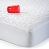 Dream Decor PebbleTex Tencel Quilted Waterproof Bed Bug Encasement