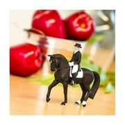 Safari Ltd. Holsteiner and Rider James Figurine Set - Realistic 4.75 Horse with 3 Rider Figure - Educational Toy for Boys, Girls, Kids Ages 3+