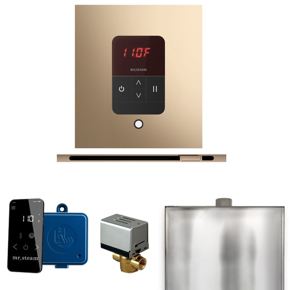Mr Steam Basic Butler Steam Shower Pkg w/Square iTempo Control and Linear Steamhead in Polished Gold