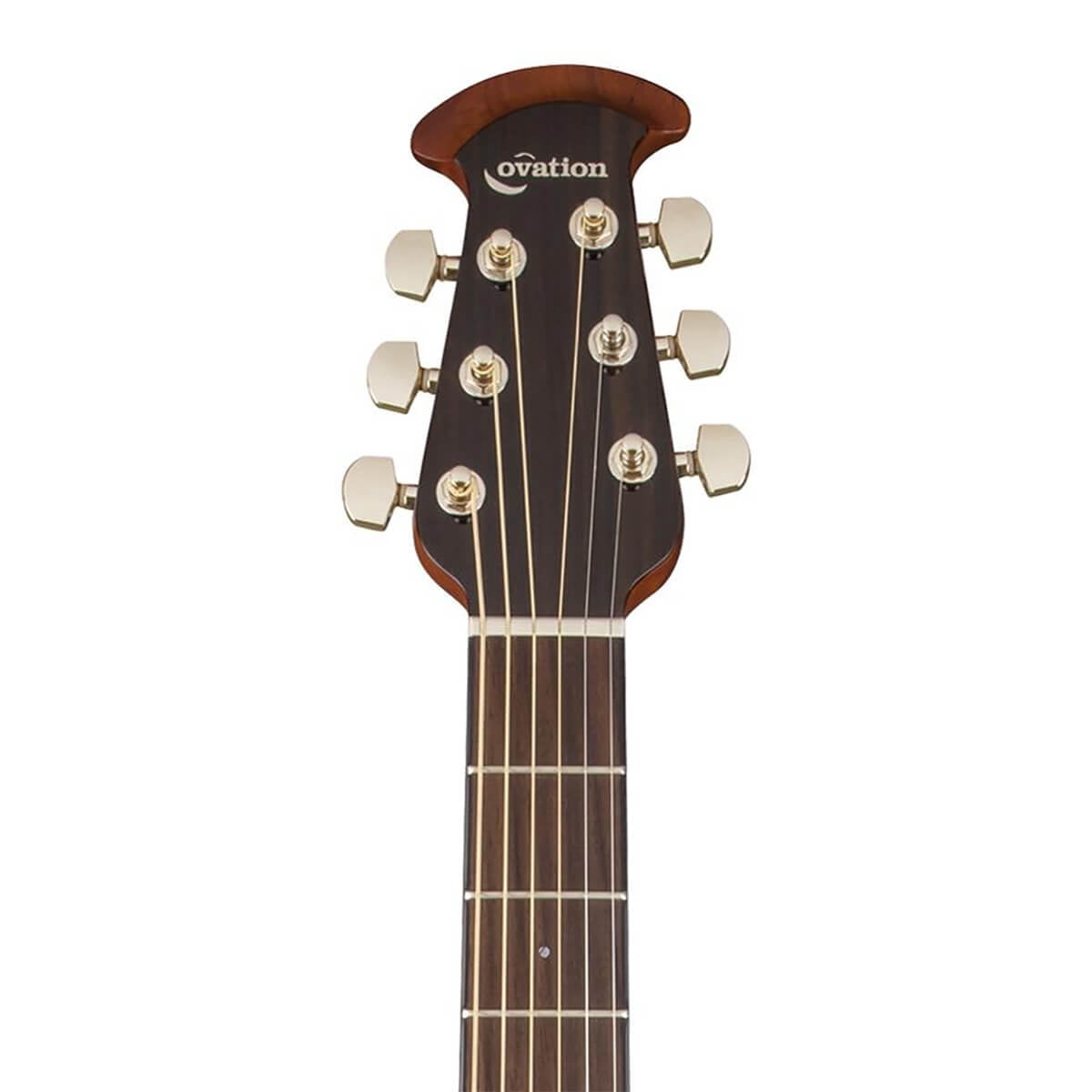Ovation Celebrity Elite Acoustic Electric Guitar - Spalted Maple - CE44P-SM
