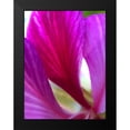 thumbnail image 2 of Grayscale 12x14 Black Modern Framed Museum Art Print Titled - Pink Leaves II, 2 of 5