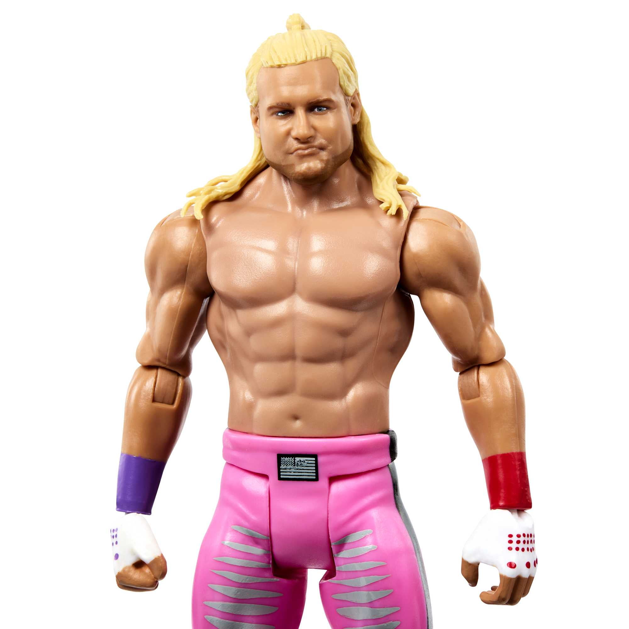 WWE Dolph Ziggler Basic Action Figure, 6"