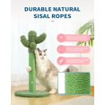 thumbnail image 4 of Cat Scratching Post Cute Cactus Cat Scratcher Post Tall 鈥?for Large Medium Small Cat/Kitten Cat Scratching Post Tree with Natural Sisal Rope for Indoor Cats with Dangling Ball Toy, 4 of 8