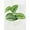 4_POTHOS_SILVER.SPLASH, variant on Scindapsus Pictus 'Exotica' Pothos - Live Air-Purifying Indoor Plant in Nursery Pot – Easy Care, Low Maintenance Houseplant for Home & Office Decor, Natural Air Cleaner, Best for Beginners (4"Pot)