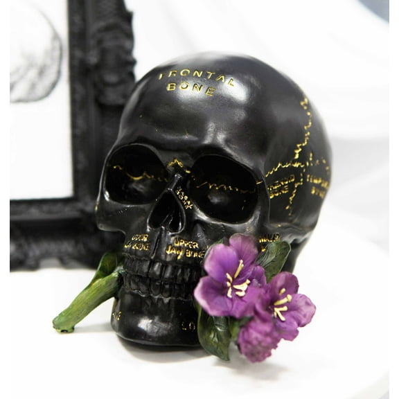 Ebros Paranormal Pentagram Colonial Witch Salem Map Skull Statue 7" Long