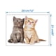 thumbnail image 5 of Wosthever Pegatinas de pared, pintura para decoración de gatos, impresión de imágenes con temática de simulación bonita, carteles, Decoración del hogar, 5 of 6