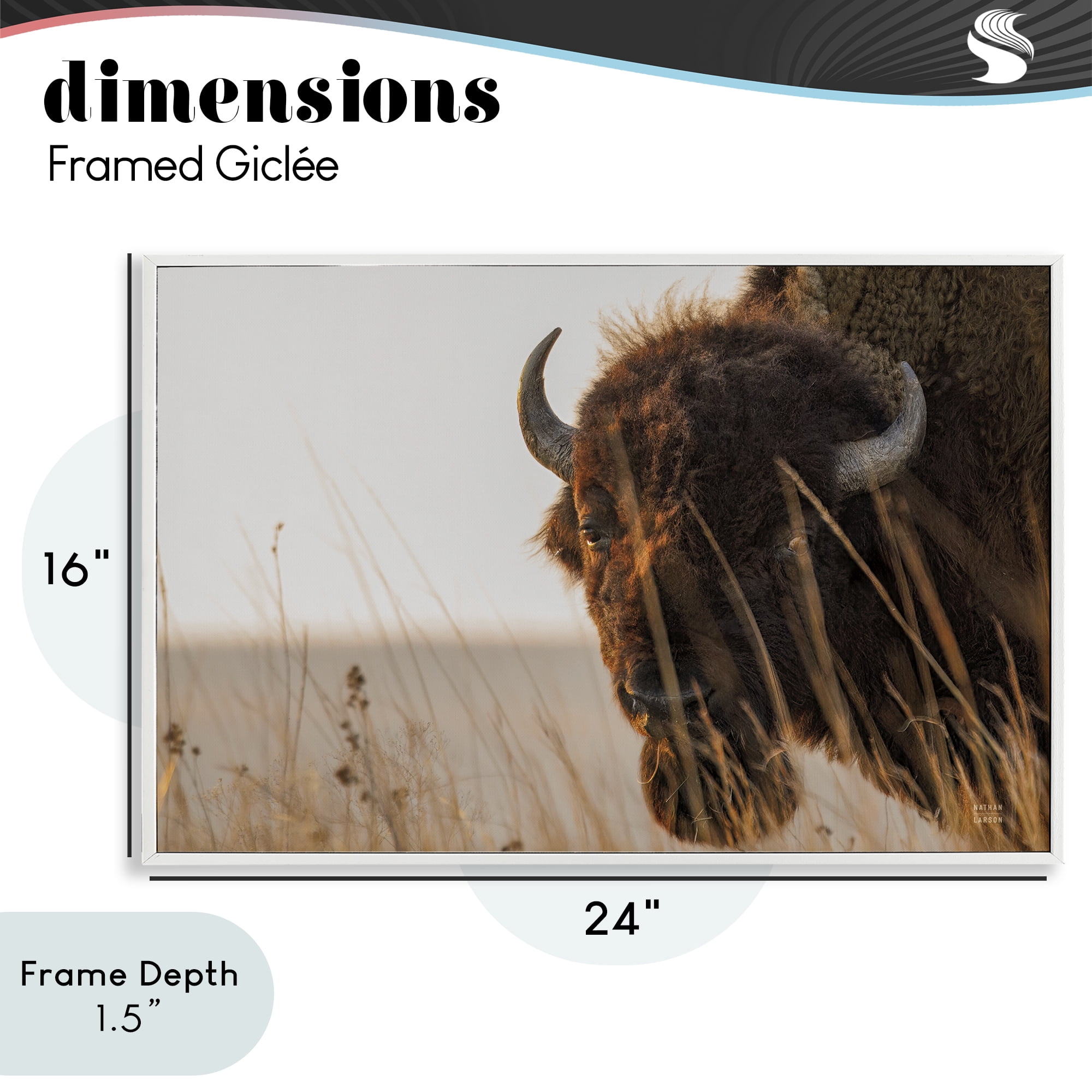 Stupell Industries Bison Sunset on Golden Prairie White Framed Giclee Art, design by Nathan Larson
