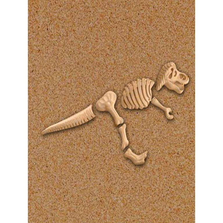 Hot Sale Summer Abs Plastic dino Baby Play sand tools with Funny Sand Mold  Set Dinosaur Skeleton Bones Beach Toy Kids Children