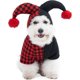 thumbnail image 1 of Disfraces de Halloween para perros, disfraz de Joker para gato, suéter bonito para perro, cachorro, perro pequeño, gatito, sudadera con capucha para Halloween, Navidad, festival, fiesta de cosplay, 1 of 5