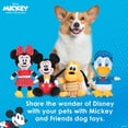 thumbnail image 2 of Juguete de Cuerda Disney para Mascotas Pluto chirriador 9 Pulgadas para Perros, 2 of 6