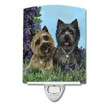 Caroline's Treasures PPP3049CNL Cairn Terrier Donation Ceramic Night Light, 6x4x3", multicolor
