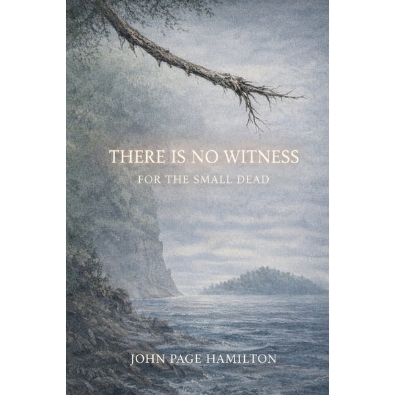 There Is No Witness For The Small Dead, (Paperback)