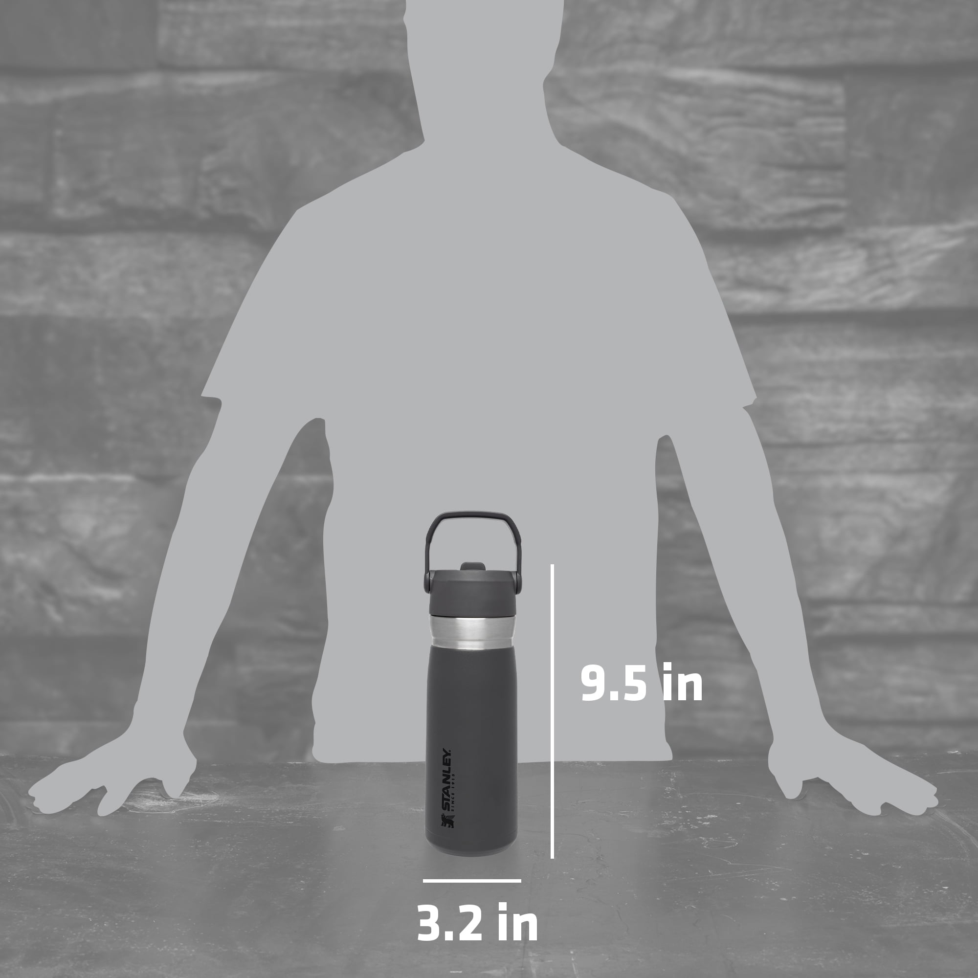 Stanley IceFlow Flip Straw Water Bottle Vacuum Insulated Tumbler 17 oz –  Chris Sports