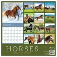 thumbnail image 2 of 2020 Horses Wall Calendar, 2 of 6
