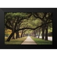 thumbnail image 2 of Podt, Martin 18x13 Black Modern Framed Museum Art Print Titled - Alley of Live Oaks, 2 of 5