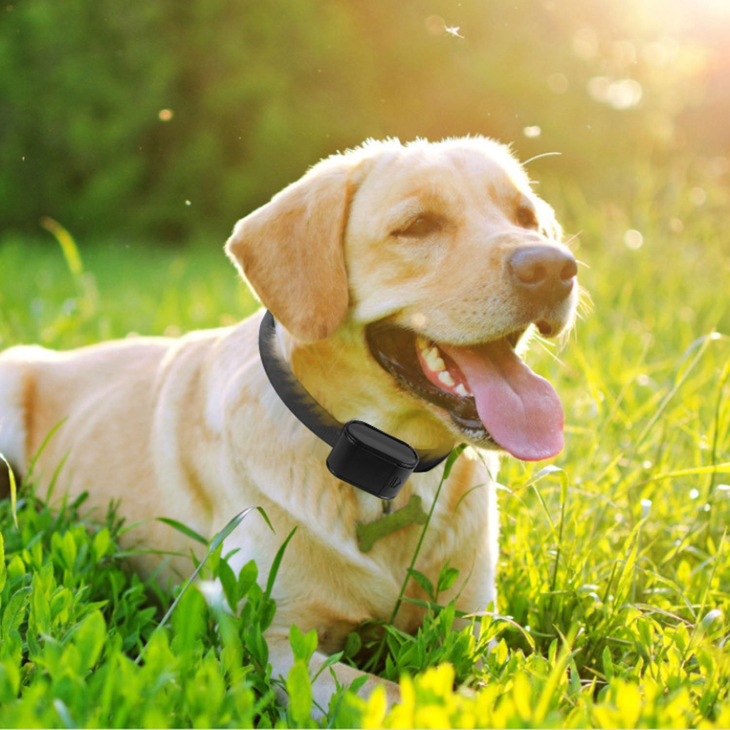 iMountek Electric Dog Collar Receiver Anti-Bark Dog Deterrent Training Collar with Beep Shock Modes for Dog Fence System