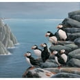 thumbnail image 3 of Weenink, Jan 12x12 Black Modern Framed Museum Art Print Titled - Pinguins, 3 of 5
