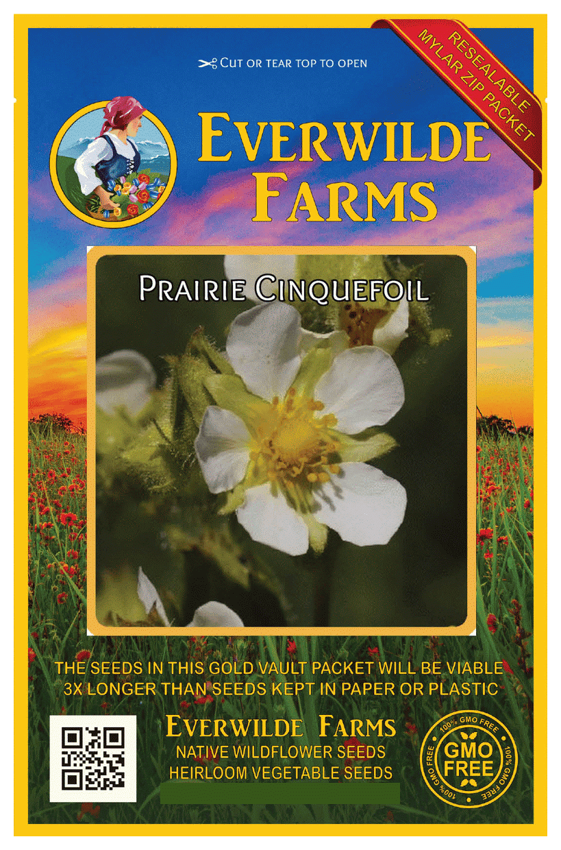 Everwilde Farms 2000 Prairie Cinquefoil Native Wildflower Seeds