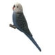 thumbnail image 4 of 2 Piezas Modelos de Animales Simulación de Pájaro Modelo Estatuilla de Plástico -, 4 of 9