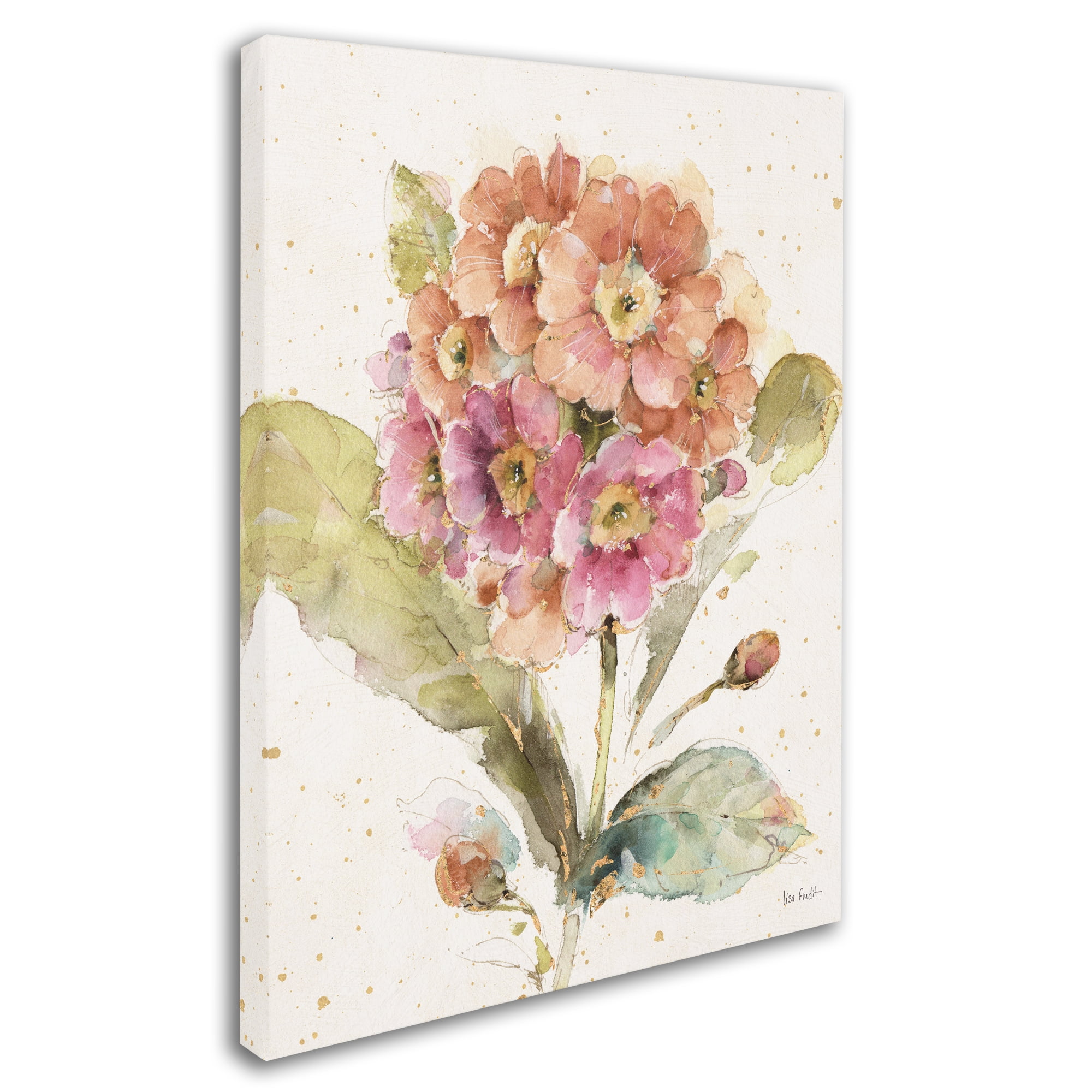 Trademark Fine Art 'Country Bloom III' Canvas Art by Lisa Audit
