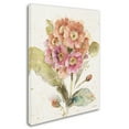 thumbnail image 2 of Trademark Fine Art 'Country Bloom III' Canvas Art by Lisa Audit, 2 of 3