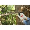 thumbnail image 2 of Corona Tools 18-Inch RazorTOOTH Pruning Saw | Heavy-Duty Hand Saw with Curved Blade | D-Handle Design for Gloved or 2-Handed Oper, 2 of 2