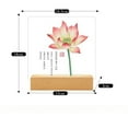 thumbnail image 3 of Modern Zen Light Box With Lotus And Scripture 18x16.5cm Buddhist Style Home Office Tabletop Decor Lamp, 3 of 4