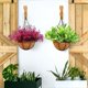 thumbnail image 5 of Planta Colgante Cesta Maceta Estante Balcón Pared Colgante Planta Decoración Colgante Cuerda Hogar Jardín Suministros, 5 of 5