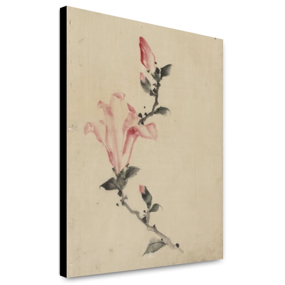Canvas Print: Large Pink Blossom On A Stem With Three Additional Buds, circa 1830