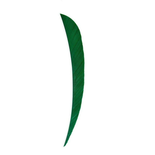 pitrice 12 Pcs Flèches de Chasse à l'Arc Plume Aile Droite 4 Pouces Vert Foncé