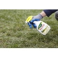 thumbnail image 3 of Scotts TouchUp Weed Control for Lawn Dandelion, Clover, & Crabgrass Killer Not Sold in HI, 24 fl oz, 3 of 4