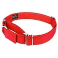 thumbnail image 2 of Country Brook Petz - Vibrant 8 Color Selection - Reflective Nylon Martingale Dog Collar, 2 of 7