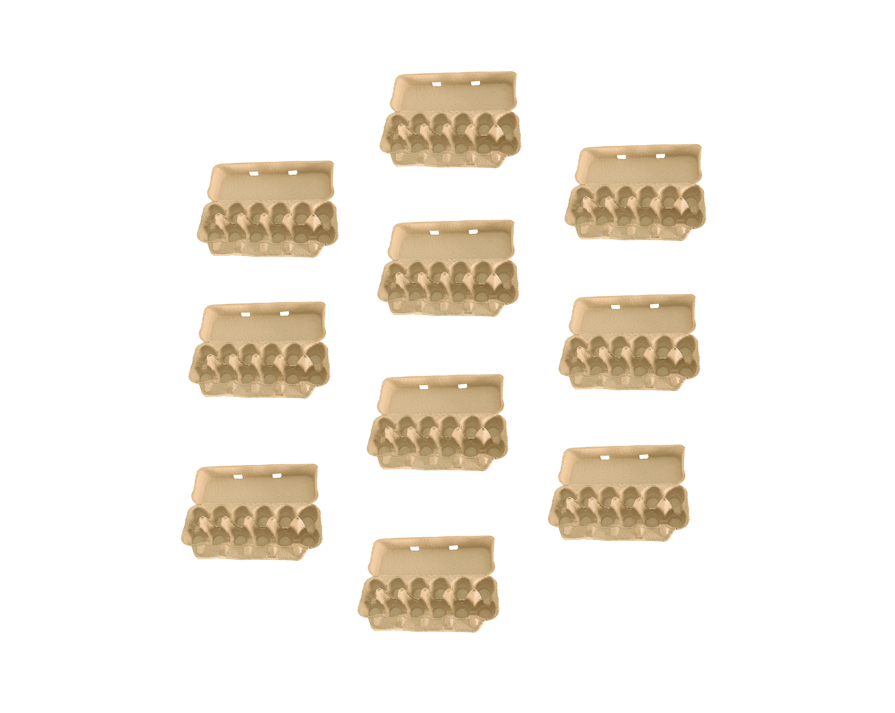 Little Giant Solid Top Egg Carton Pack of 10 - EGGCTNSLD