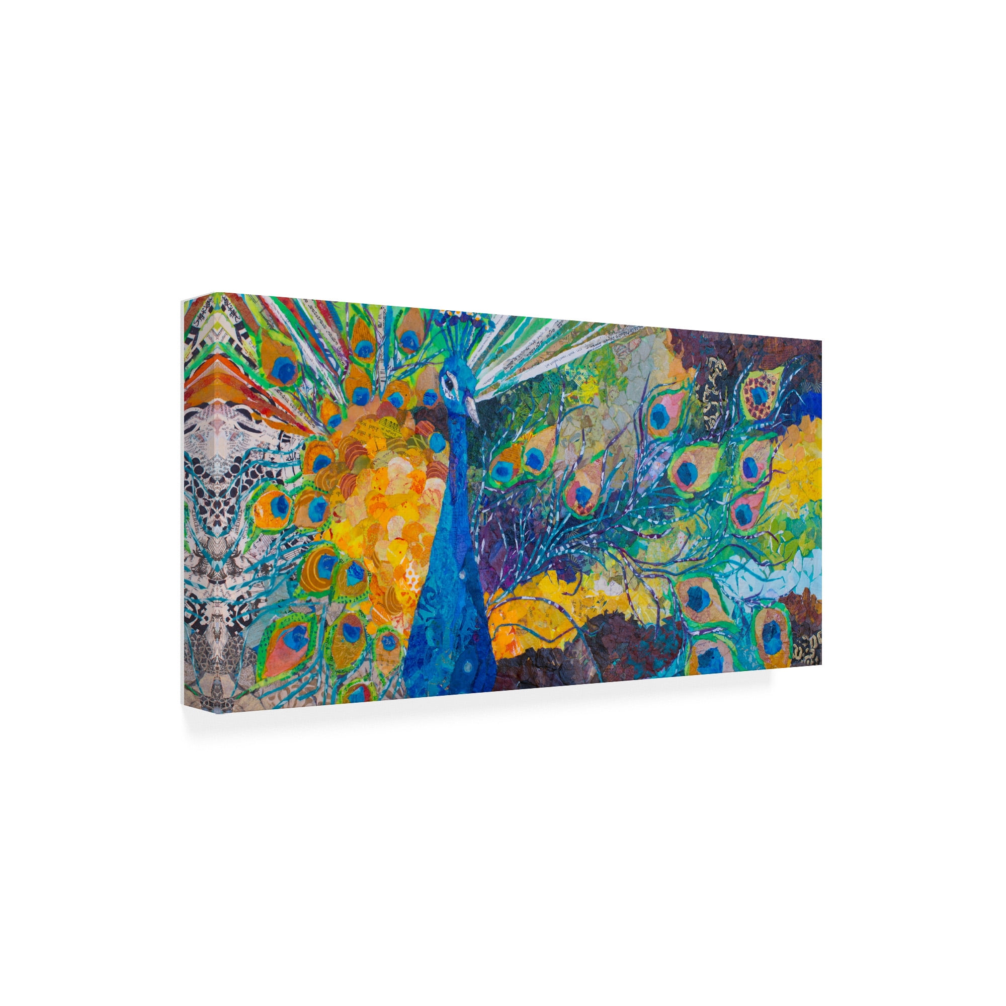 Trademark Fine Art 'Percy Peacock II' Canvas Art by Elizabeth St. Hilaire
