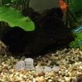 thumbnail image 4 of HAMPPLIES 10Set Turtle Docks For Basking Natural Multi Ideal For Pet Owners Terrarium, 4 of 6