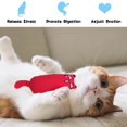 thumbnail image 5 of 6 piezas de juguetes de hierba gatera para gatos, suministros interactivos para masticar gatos, gatitos, juguetes de hierba gatera, juego de juguetes para masticar para la dentición Rojo Verde, 5 of 5