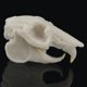 thumbnail image 1 of Accesorios de Resina Modelo de Cráneo de Animal Adorno de Decoración de Paisaje Estatuil de Cueva para Acuario Conejo, 1 of 8