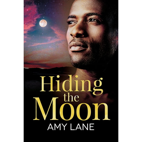 Fish Out of Water Hiding the Moon, Book 4, (Paperback)