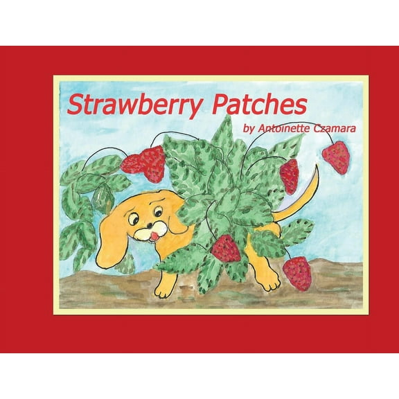 Strawberry Patches, (Paperback)