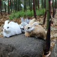 thumbnail image 1 of APCS 15CM Lapins en Peluche Réalistes Jouet Lapin de Pâques Animal Réaliste Cadeau d'Anniversaire, 1 of 3