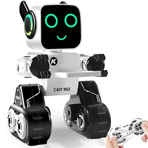 cady wile robot