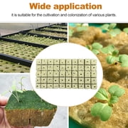 50 Pcs Rock Wool Grow Cubes for Cuttings Cloning Plants Propagation Starting Hydroponic Grow Media Rooting Cuttings