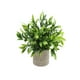 thumbnail image 2 of Artificial Green Plants Simulation Potted Home Office Hotel Lobby Decoration Green Plants Home Decoration Artificial Plants, 2 of 6