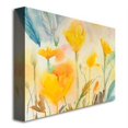 thumbnail image 3 of Trademark Art "Yellow Poppies" Canvas Art by Shelia Golden, 3 of 3