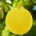 thumbnail image 3 of YiaNXan 10 Pack Sticky Fruit Fly Trap Ball, Hanging Adhesive Fly Catching Ball for Plants, Catching Indoor Outdoor Garden Kitchen Gnat Flying Insects Traps (Yellow), 3 of 9