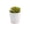 A, variant on huayou Mini Artificial Succulent Potted Plant with White Plastic Pot, Faux Wide Flat Leaf Succulent, Tabletop Living Room Office Desktop Decoration