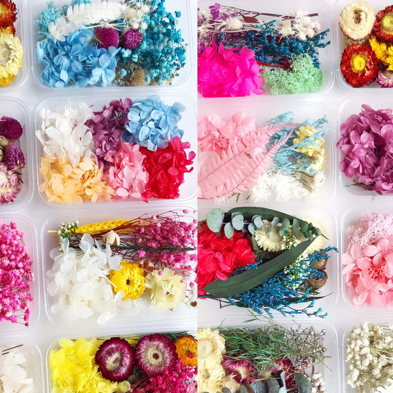 GadgetVLot Diy Dried Flowers Material Eternal Flower Artificial Multicolor  Festival Supplies Home 