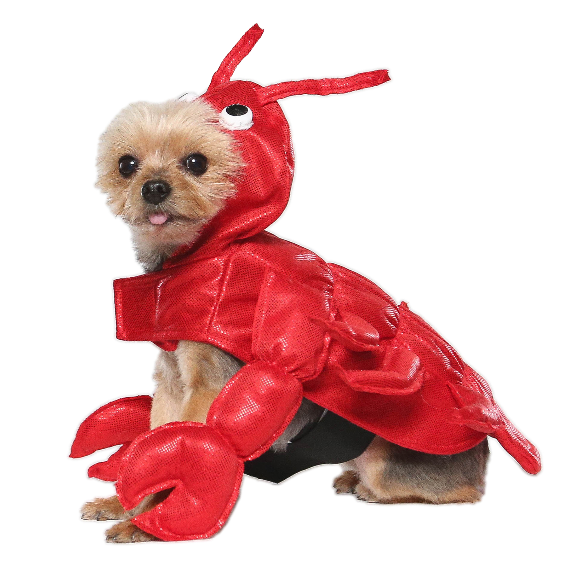 Vibrant Life Vl Hw Costume Lobster Xsmall