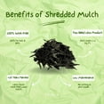 thumbnail image 2 of 100% Wire-Free Shredded Rubber Mulch – Black – 20 lb (1.2 cu ft) – Long-Lasting, Low Maintenance, Safe for Kids & Pets – Ideal for Landscaping & Playgrounds, 2 of 9