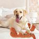 thumbnail image 4 of Indestructible Dog Toy Chew Toy Dog Toy Dino Dog Toy Indestructible Dog Toy Robust Dog Toy Chew Toy Dog Indestructible Dino Stuffed Toy, 4 of 5